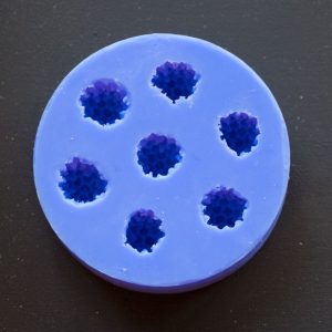Blueberries-mould