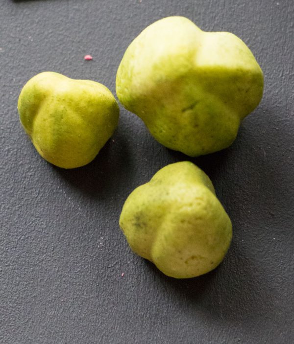 Orchid Buds Mould - Berries, Pods & Fillers