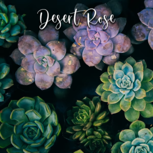 Desert Rose - Cutter