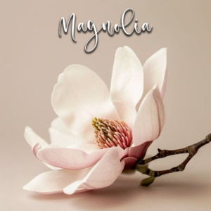 Magnolia - Cutter