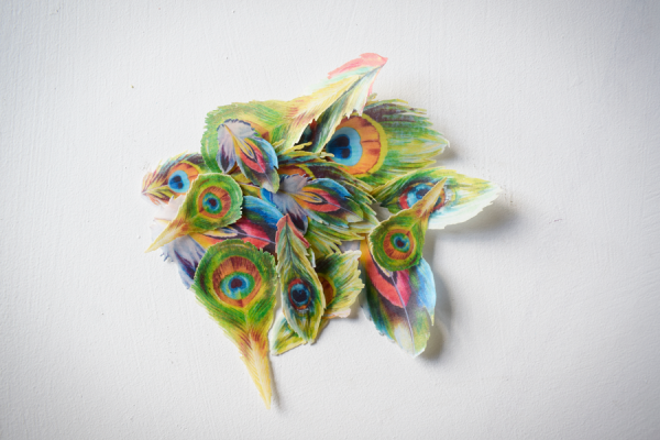 Kim Collection- Peacock Feathers - Image 4