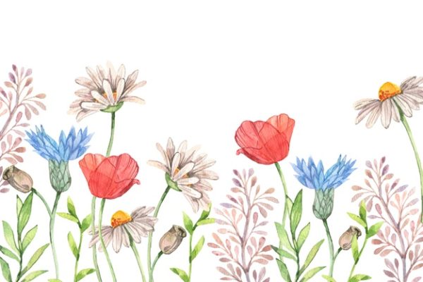 Garden Memories- Printed Edible Icing Sheet