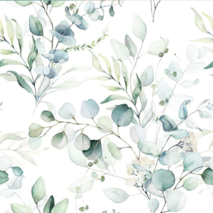 Eucalyptus – Printed Edible Icing Sheet