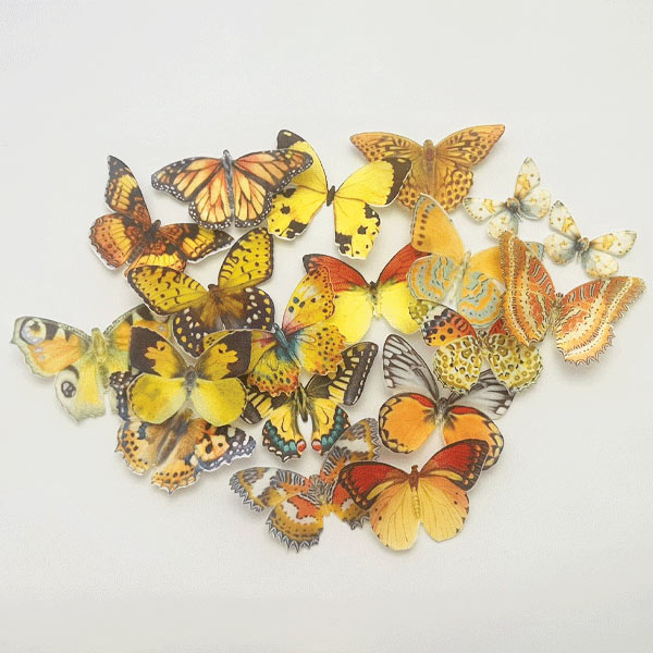 Webbanner-Amber-Haze-Butterflies2