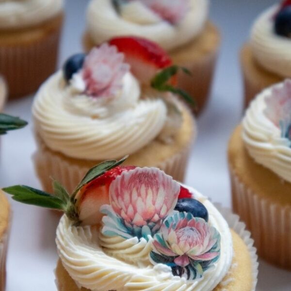 Mini Perfect Proteas - Image 7