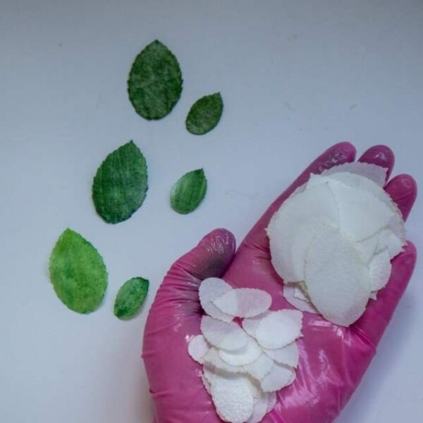 White Rose Leaves - Image 3