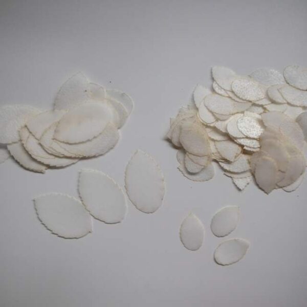 White Rose Leaves - Image 2