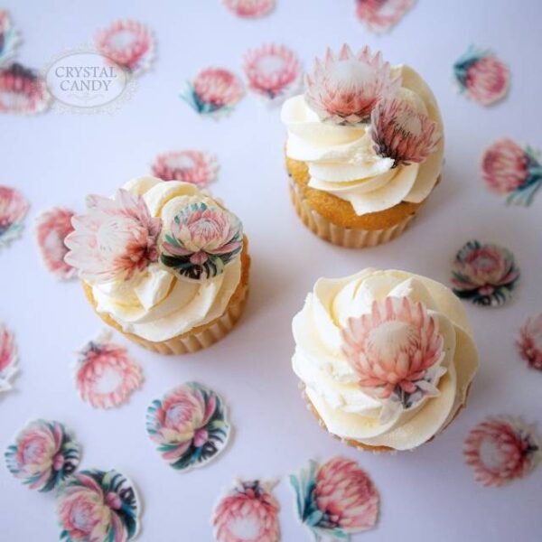 Mini Perfect Proteas - Image 5