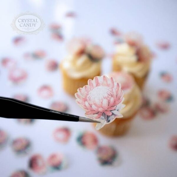 wafer paper protea flowers