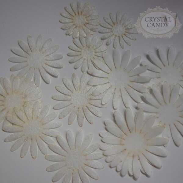 Make-A- White Daisy Wafer Paper Flower Kit - Image 2