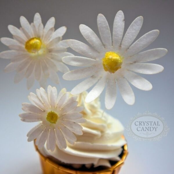 Make-A- White Daisy Wafer Paper Flower Kit - Image 3