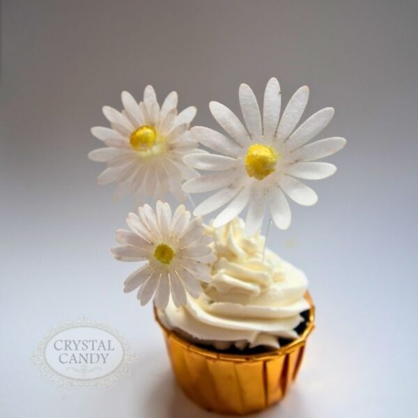 Make-A- White Daisy Wafer Paper Flower Kit